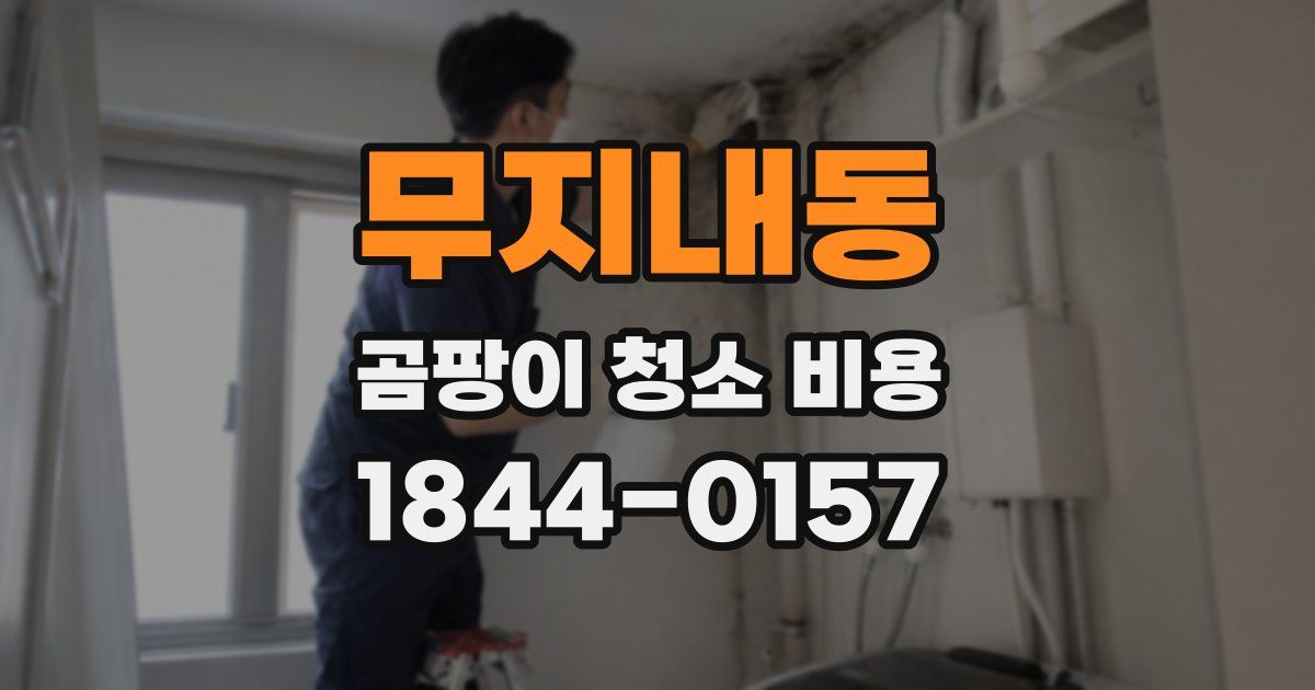무지내동 곰팡이 청소 비용