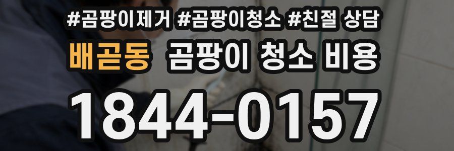 배곧동 곰팡이 청소 비용
