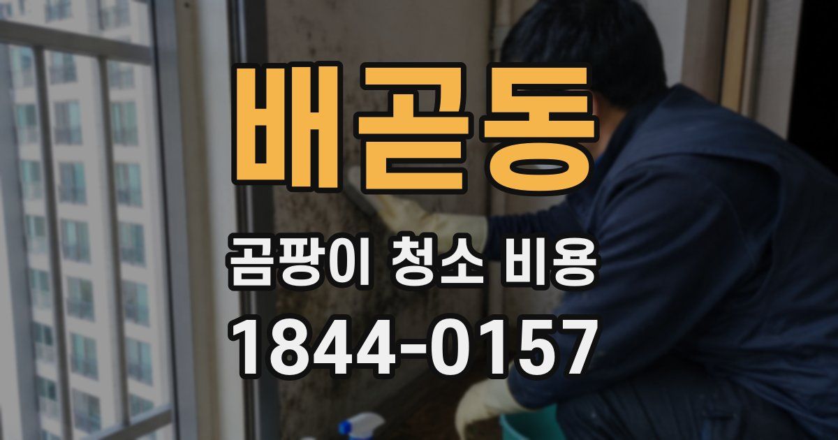 배곧동 곰팡이 청소 비용
