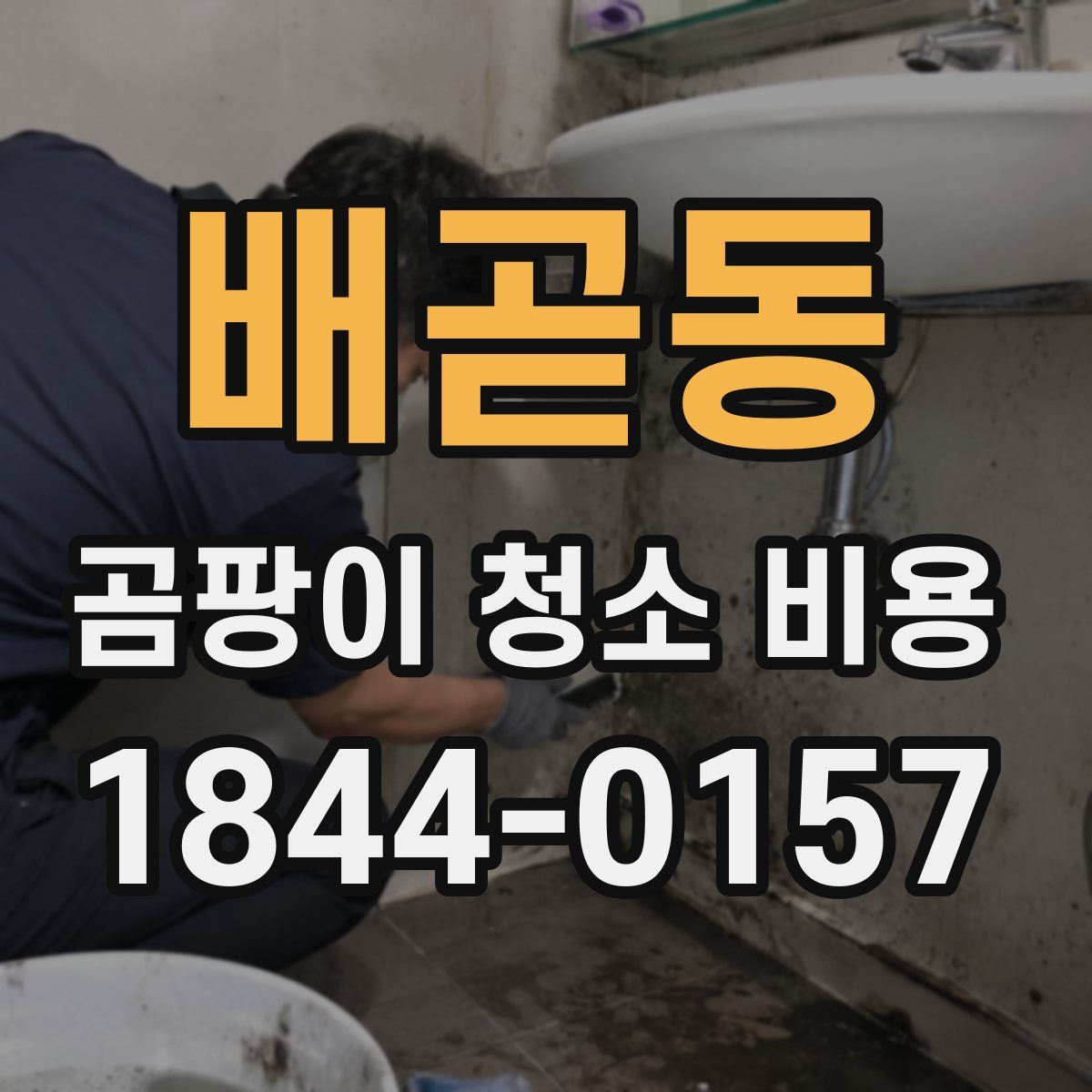 배곧동 곰팡이 청소 비용