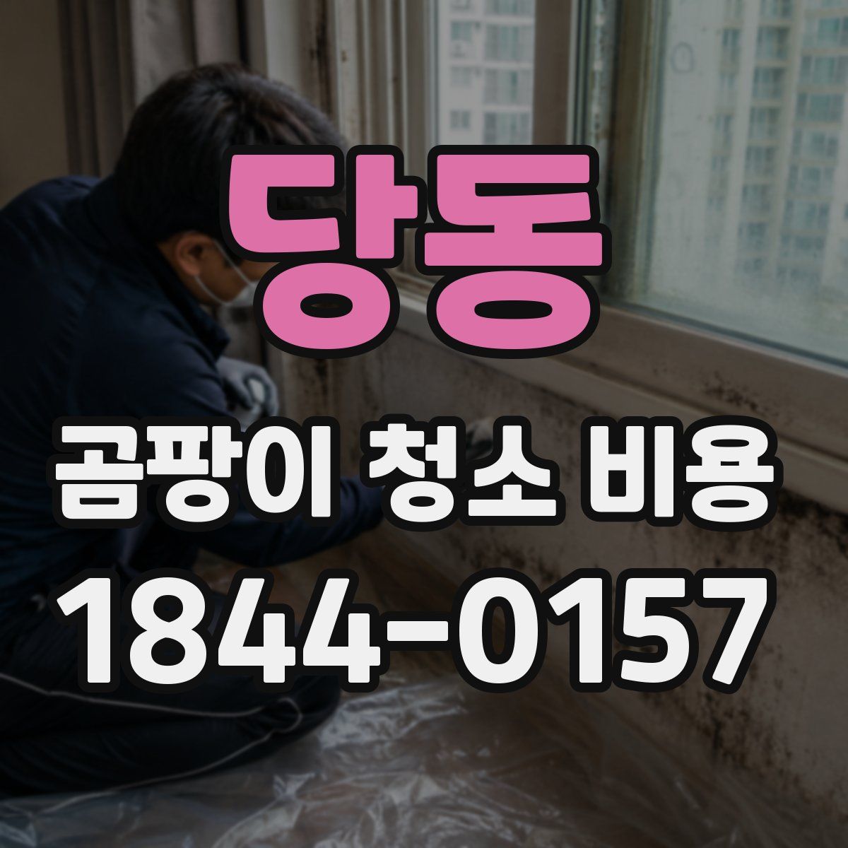 당동 곰팡이 청소 비용