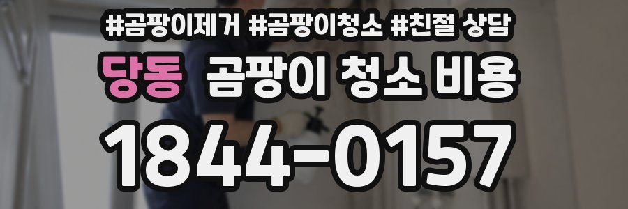 당동 곰팡이 청소 비용