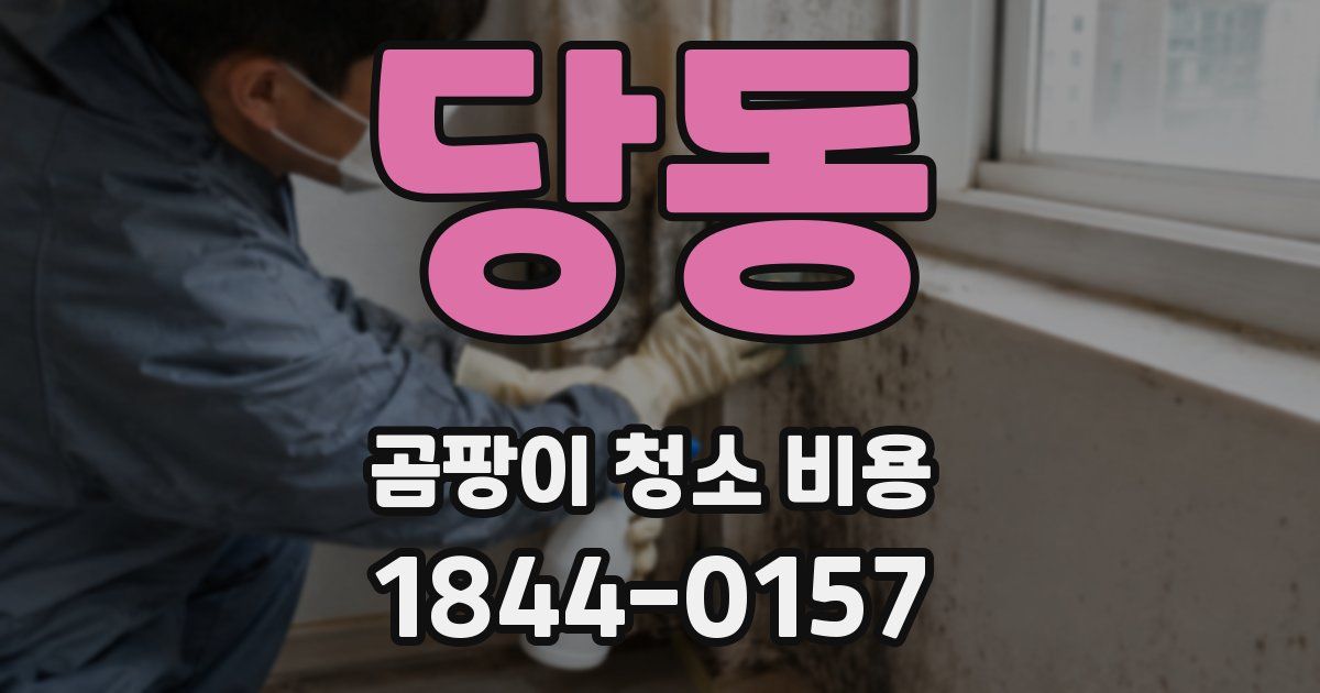 당동 곰팡이 청소 비용