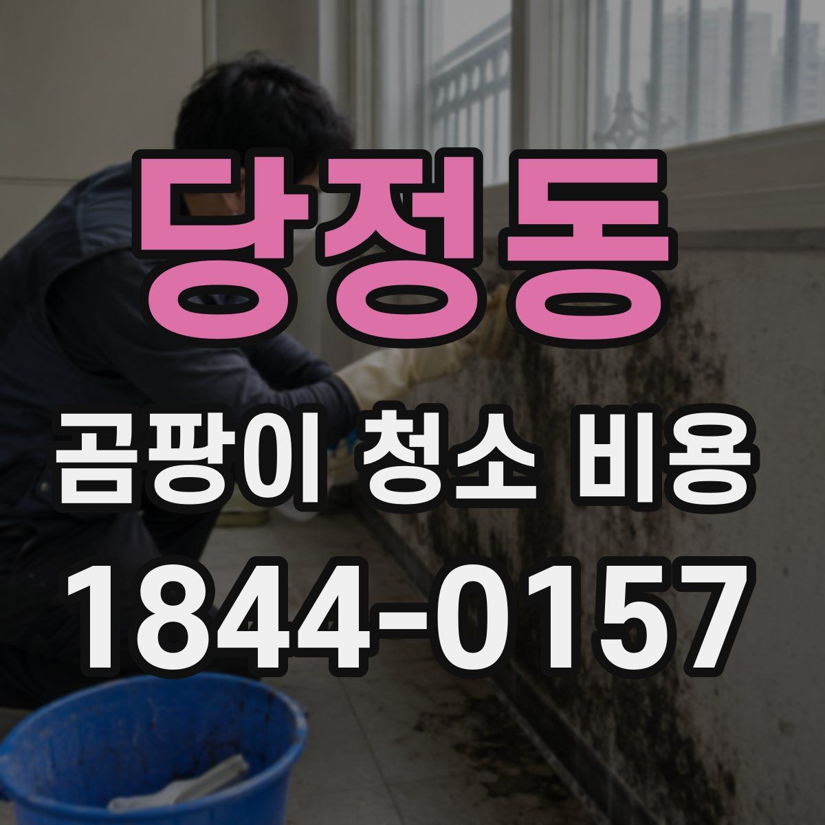 당정동 곰팡이 청소 비용