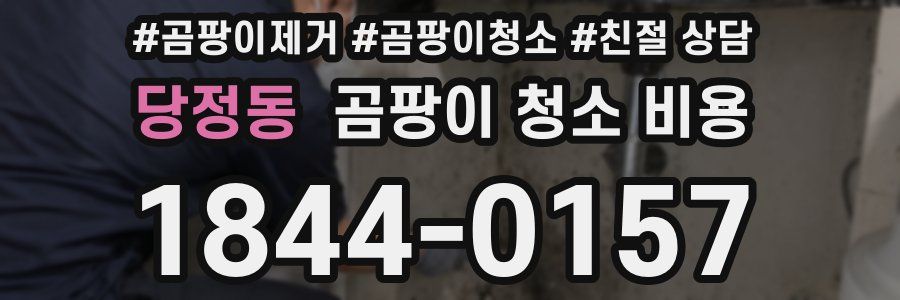 당정동 곰팡이 청소 비용