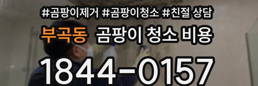 부곡동 곰팡이 청소 비용