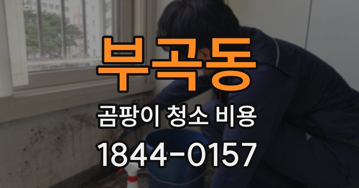부곡동 곰팡이 청소 비용