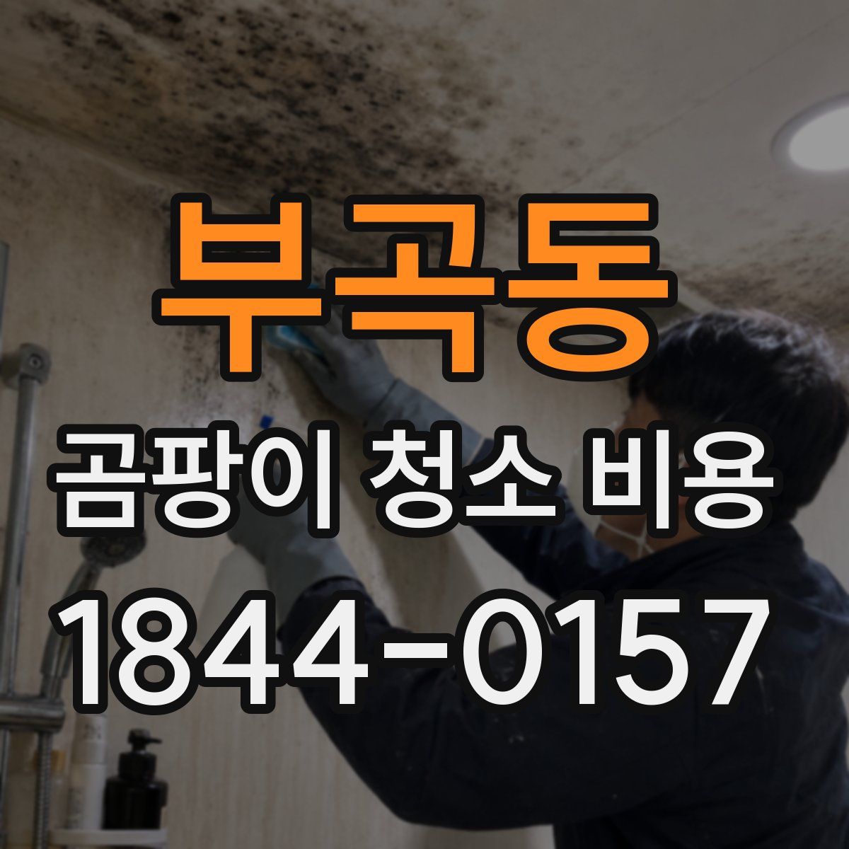 부곡동 곰팡이 청소 비용
