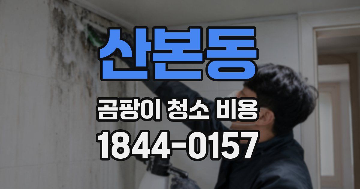 산본동 곰팡이 청소 비용