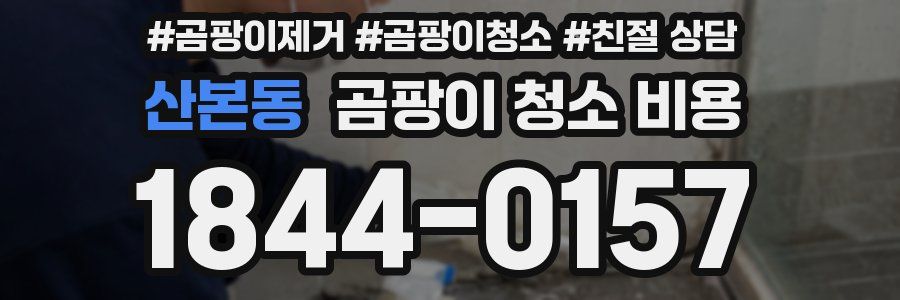 산본동 곰팡이 청소 비용