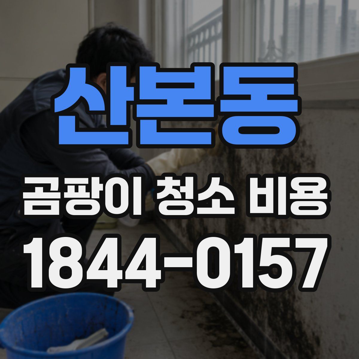 산본동 곰팡이 청소 비용