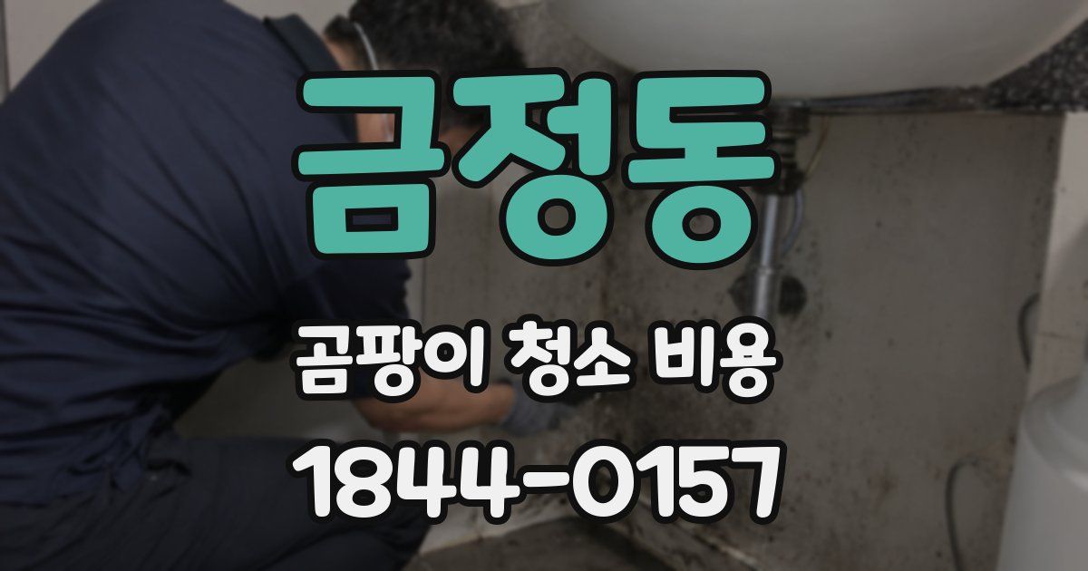 금정동 곰팡이 청소 비용