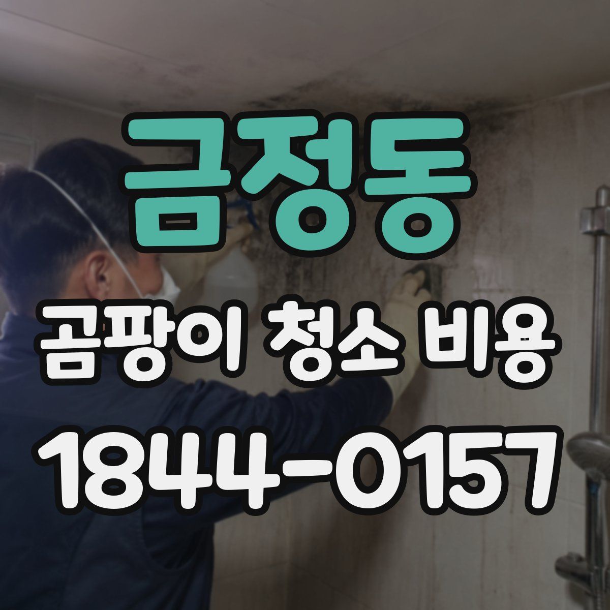 금정동 곰팡이 청소 비용