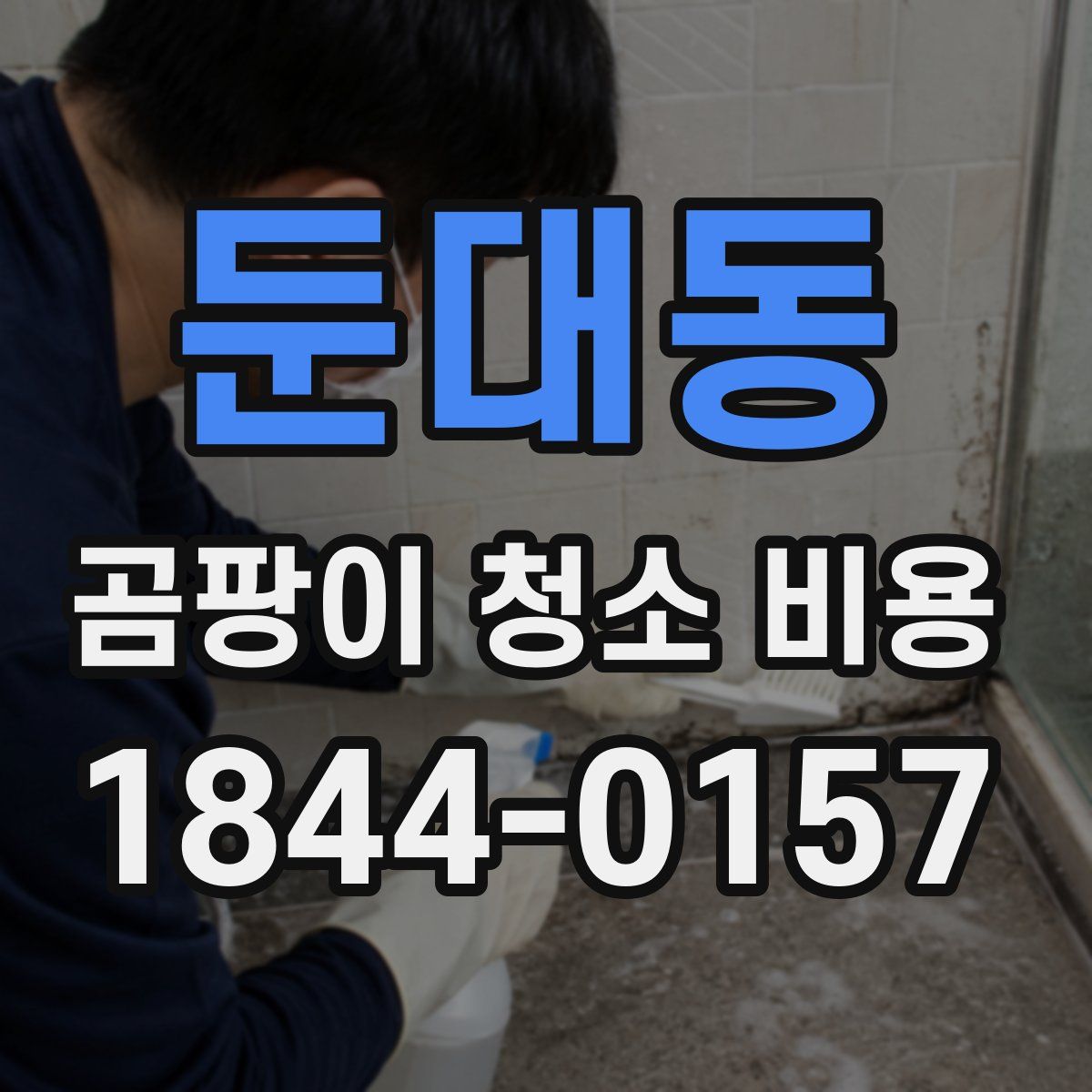 둔대동 곰팡이 청소 비용