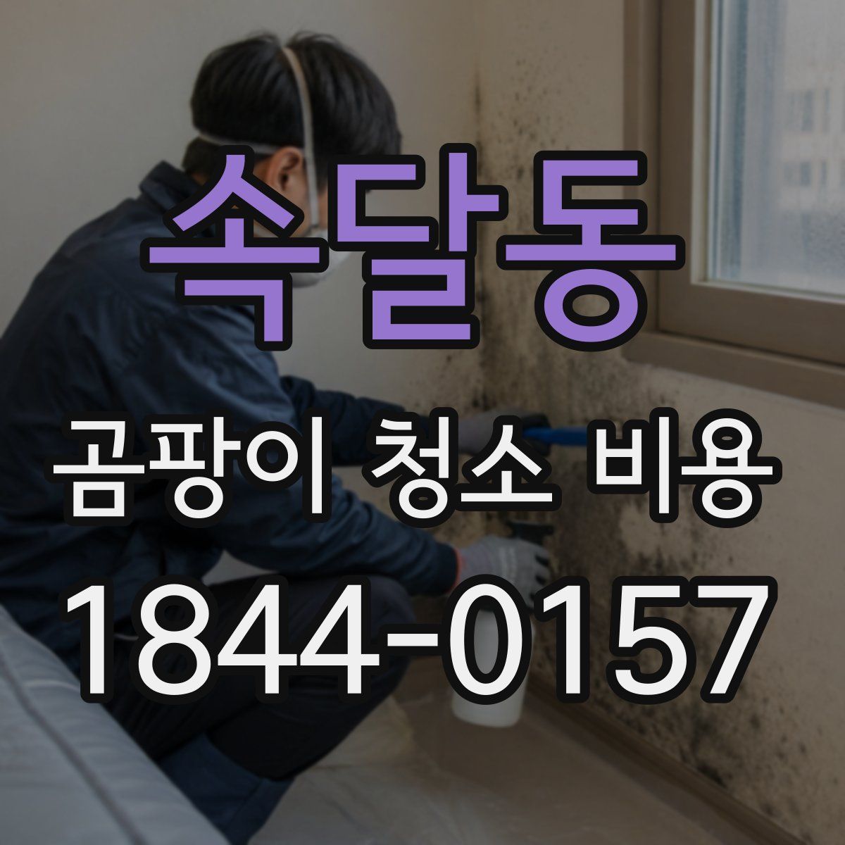 속달동 곰팡이 청소 비용