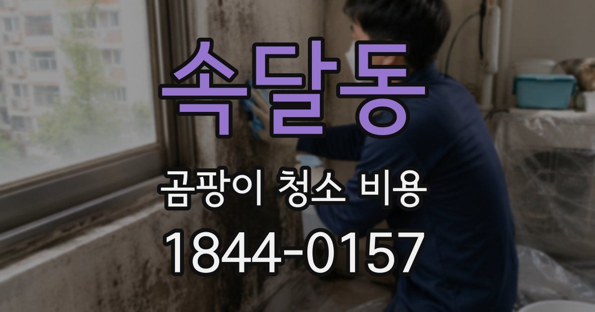 속달동 곰팡이 청소 비용