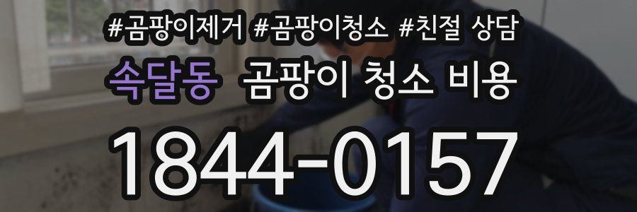 속달동 곰팡이 청소 비용