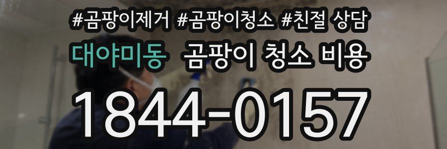 대야미동 곰팡이 청소 비용