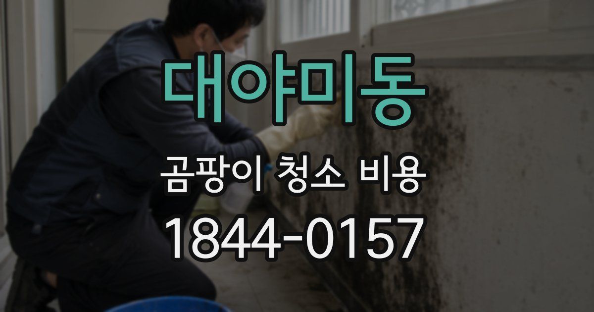 대야미동 곰팡이 청소 비용