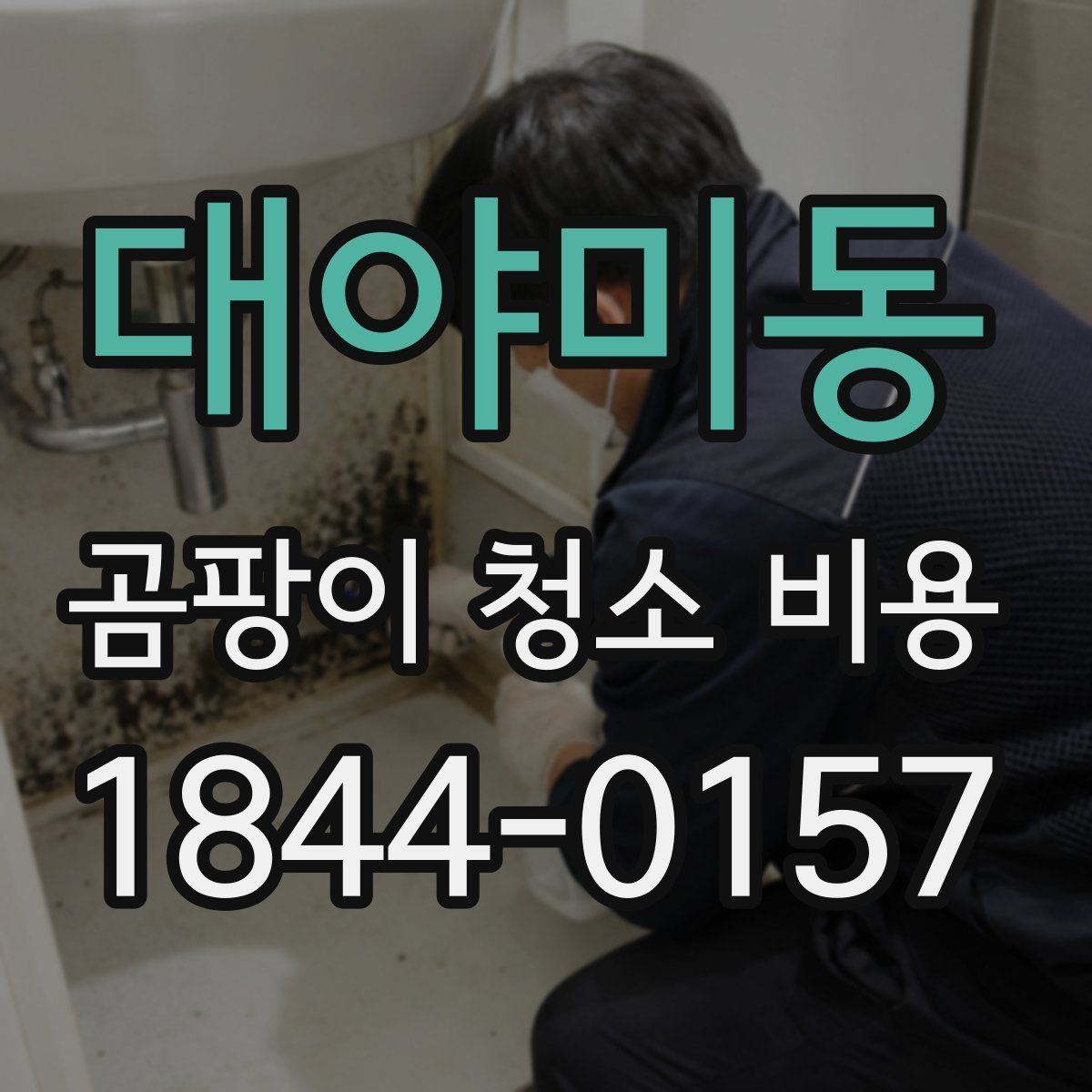 대야미동 곰팡이 청소 비용