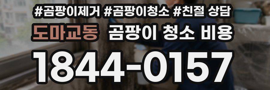 도마교동 곰팡이 청소 비용
