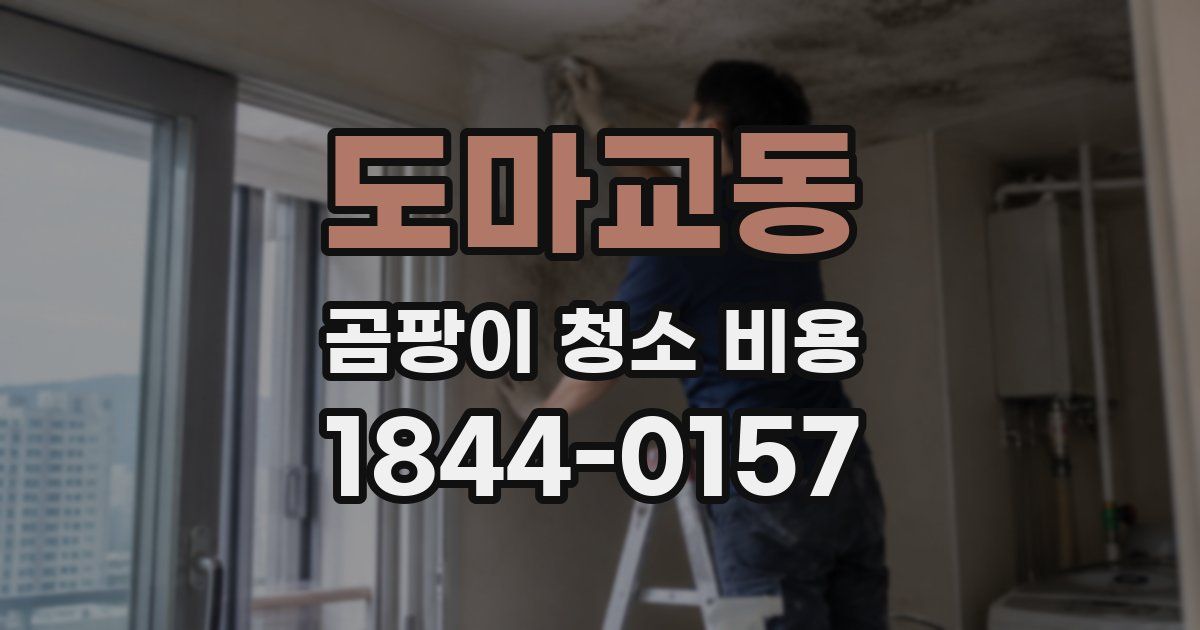 도마교동 곰팡이 청소 비용