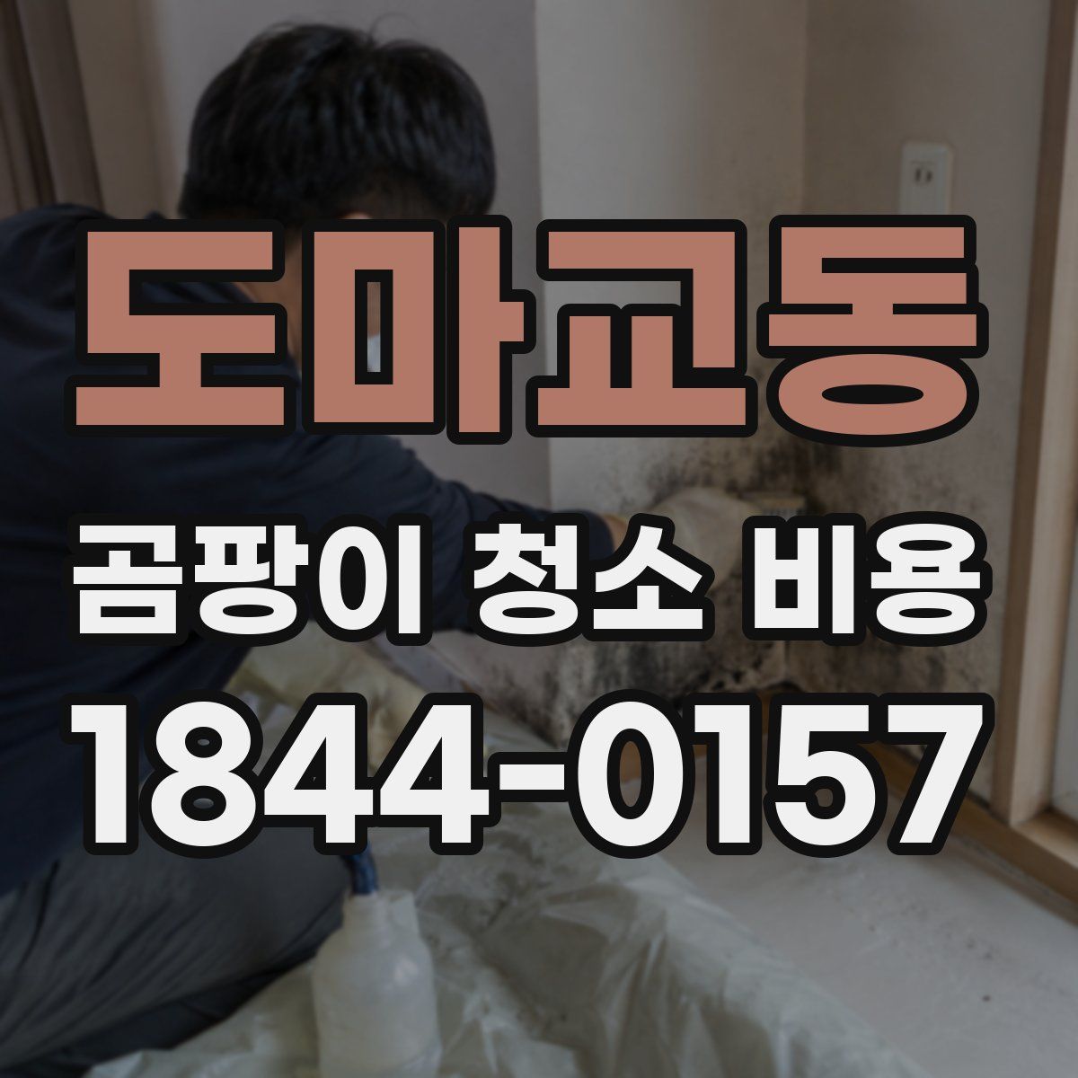 도마교동 곰팡이 청소 비용