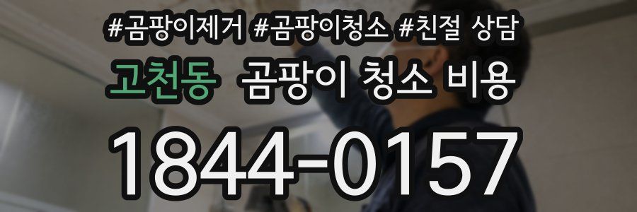 고천동 곰팡이 청소 비용