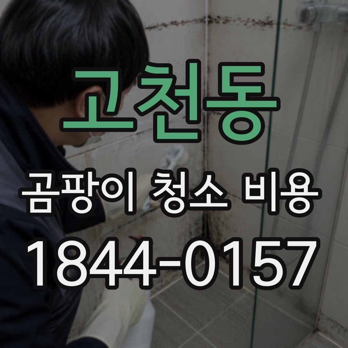 고천동 곰팡이 청소 비용