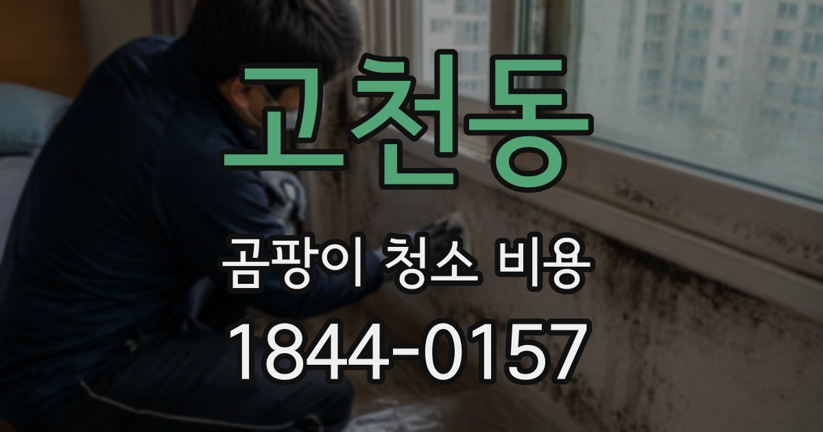고천동 곰팡이 청소 비용