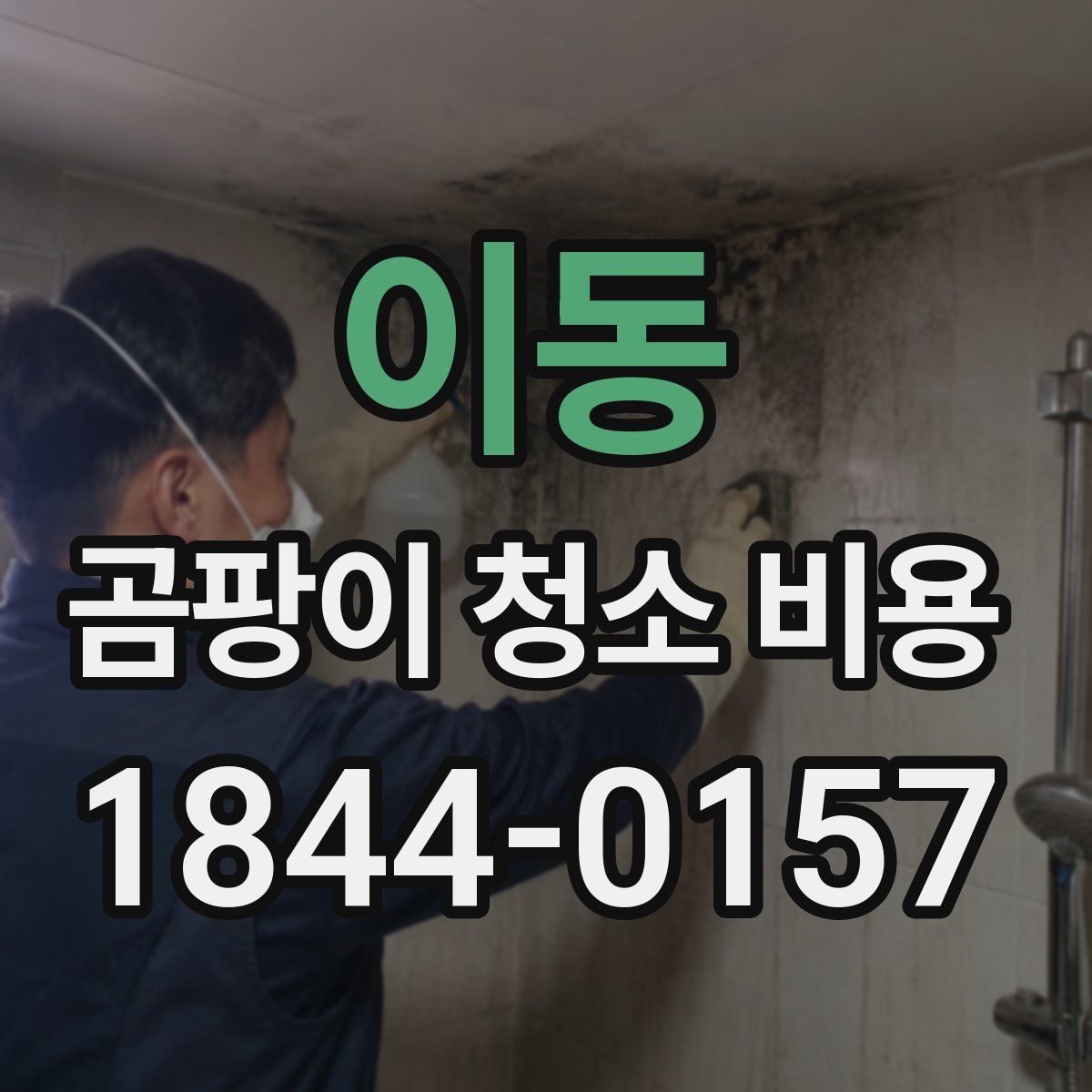 이동 곰팡이 청소 비용
