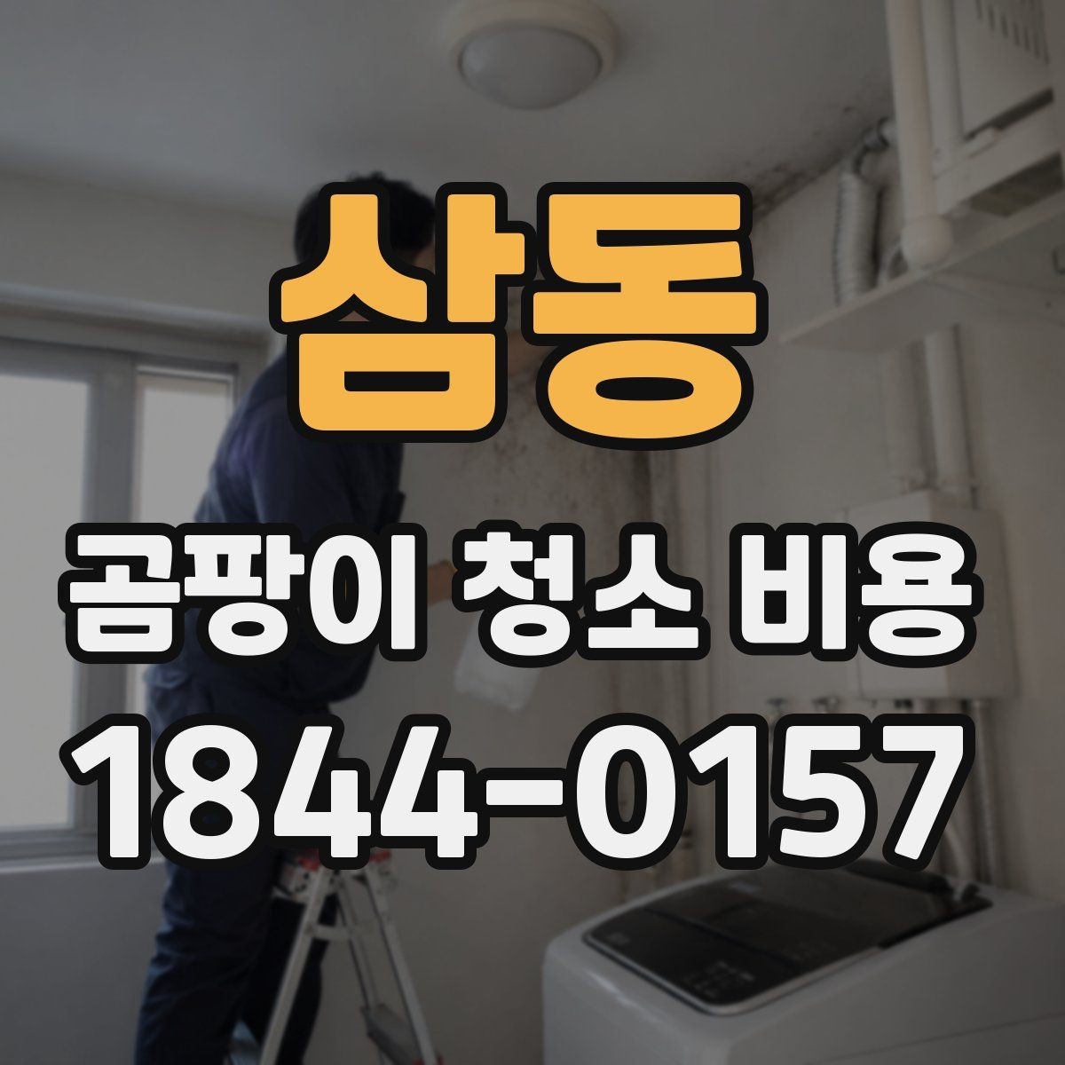 삼동 곰팡이 청소 비용 비교 시 과다한 항목 피하는 법