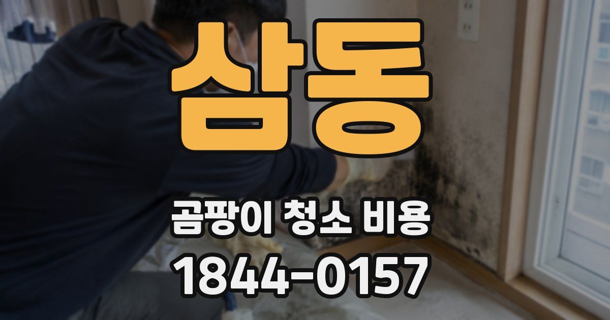 삼동 곰팡이 청소 비용