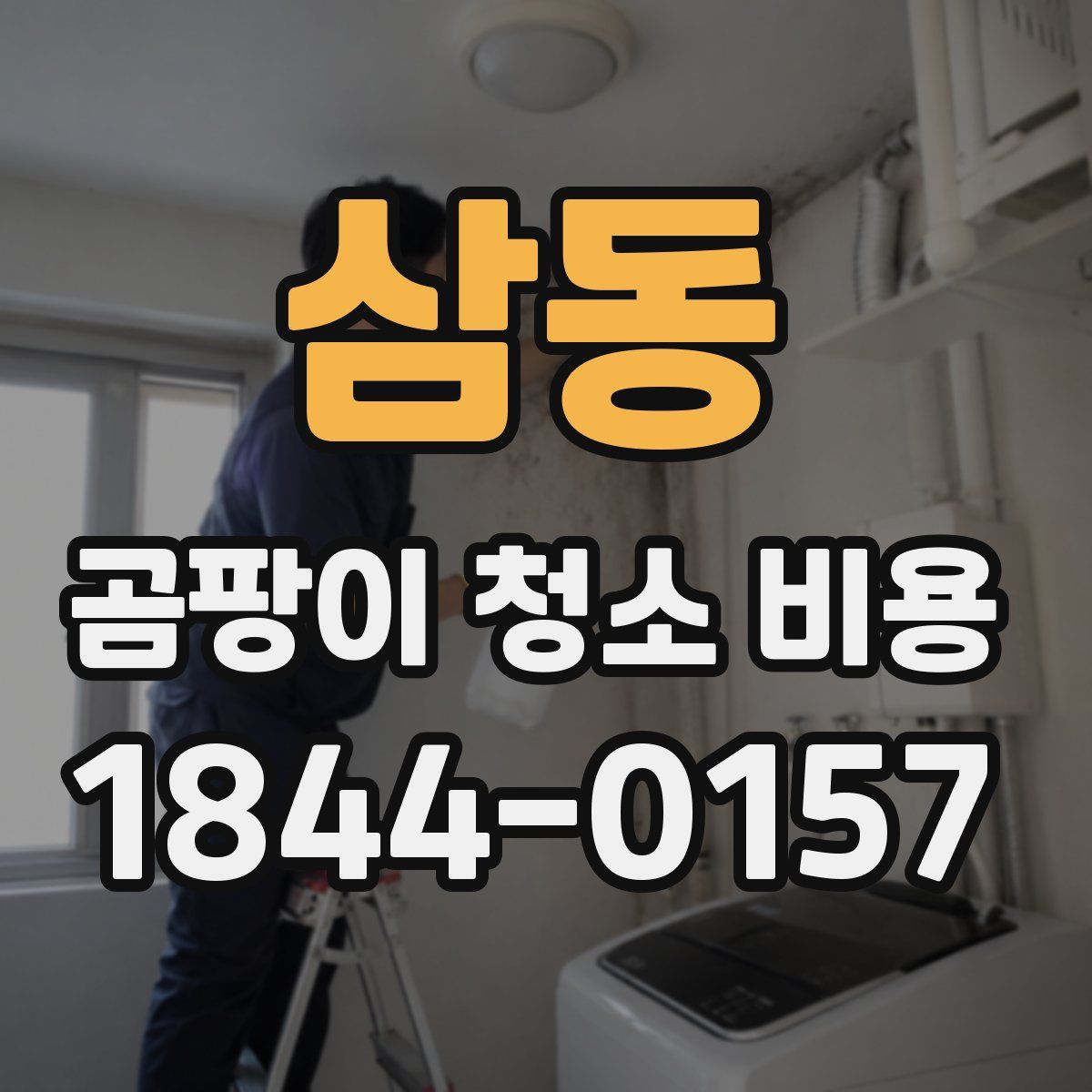 삼동 곰팡이 청소 비용