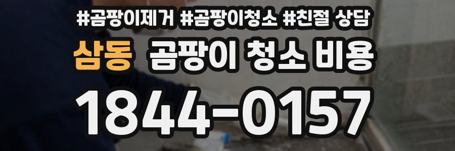 삼동 곰팡이 청소 비용