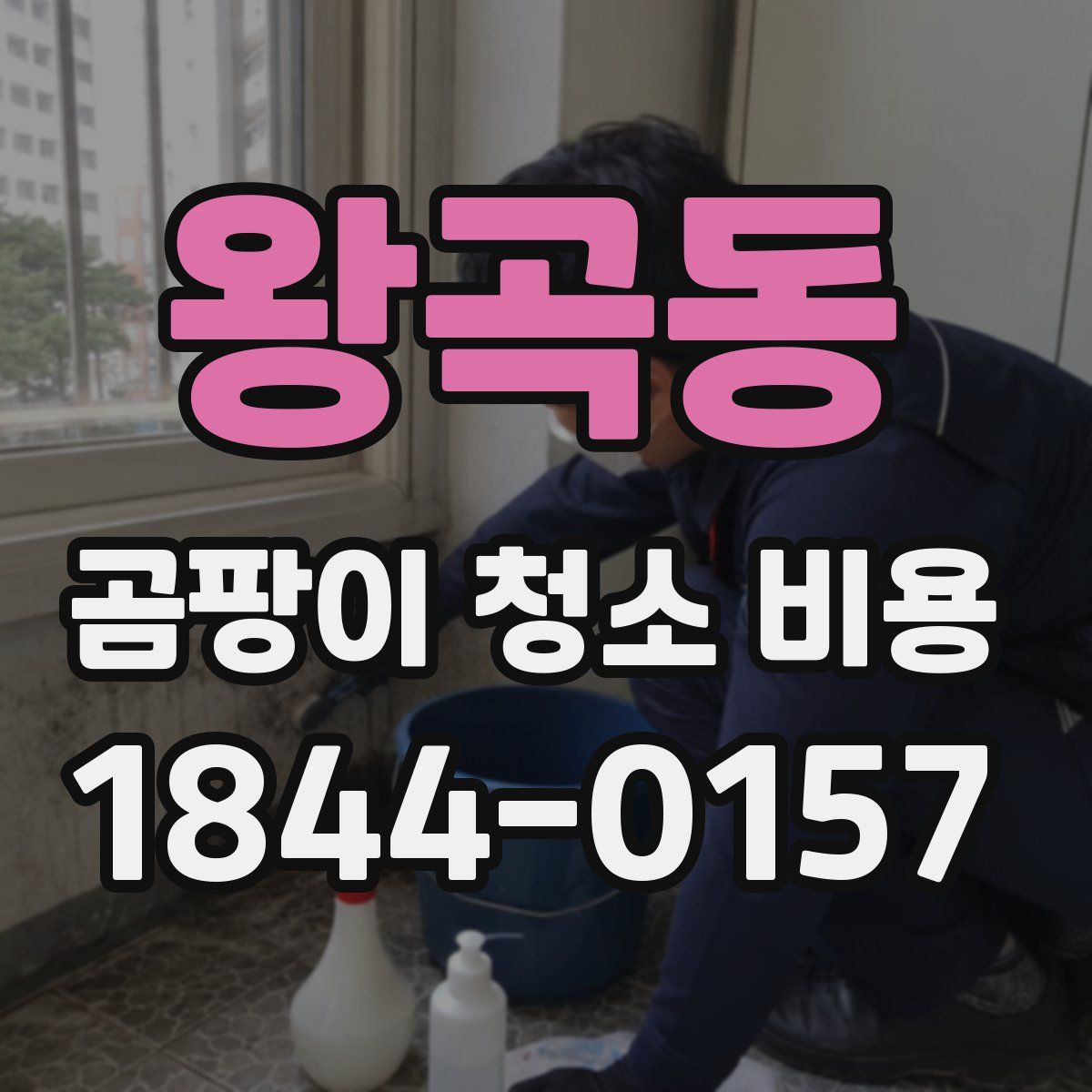 왕곡동 곰팡이 청소 비용