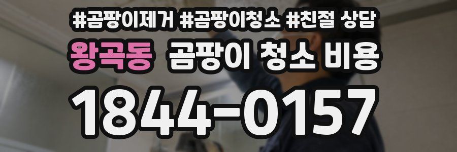 왕곡동 곰팡이 청소 비용