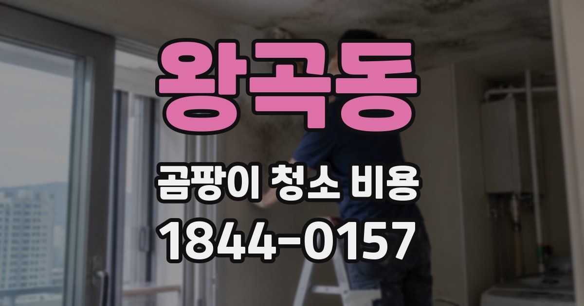 왕곡동 곰팡이 청소 비용