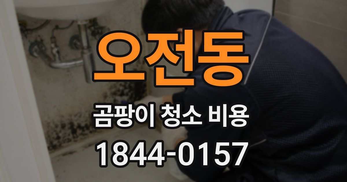 오전동 곰팡이 청소 비용