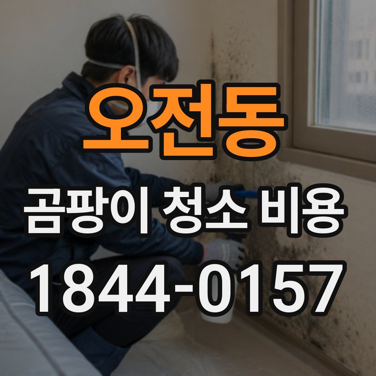 오전동 곰팡이 청소 비용