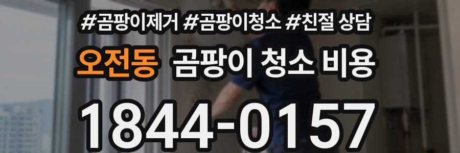 오전동 곰팡이 청소 비용