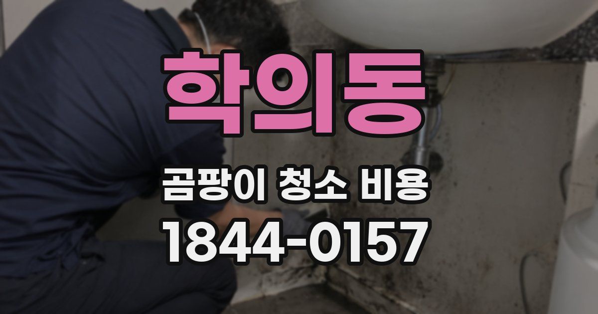 학의동 곰팡이 청소 비용