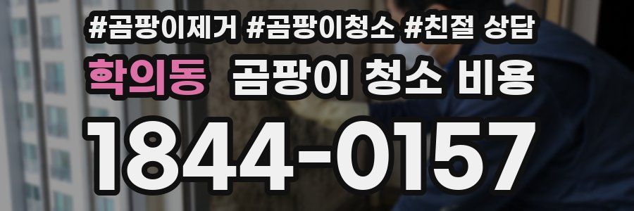 학의동 곰팡이 청소 비용
