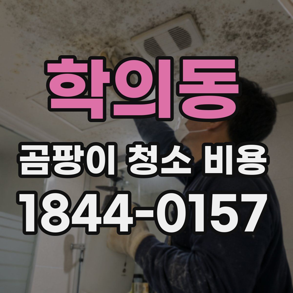학의동 곰팡이 청소 비용