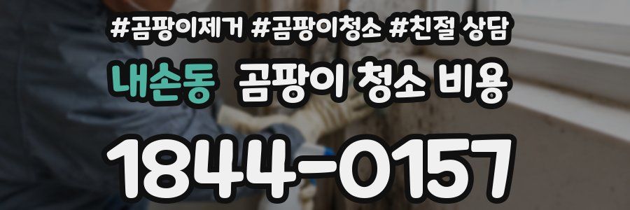내손동 곰팡이 청소 비용