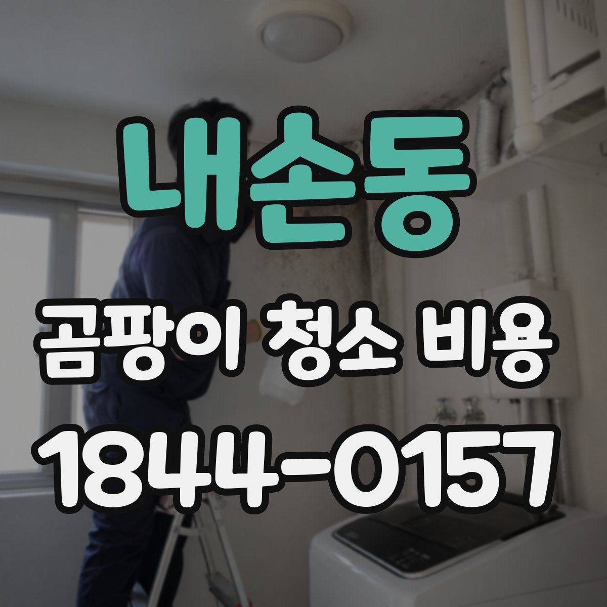 내손동 곰팡이 청소 비용