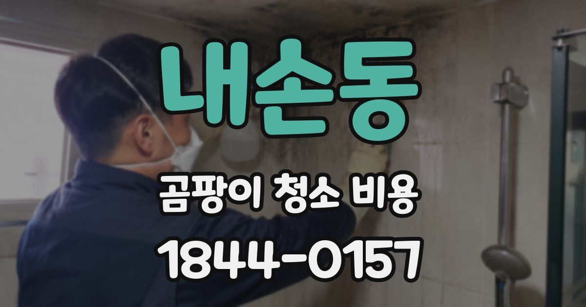 내손동 곰팡이 청소 비용