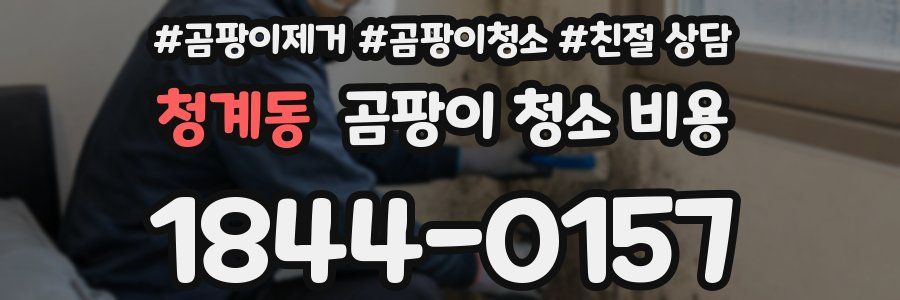 청계동 곰팡이 청소 비용