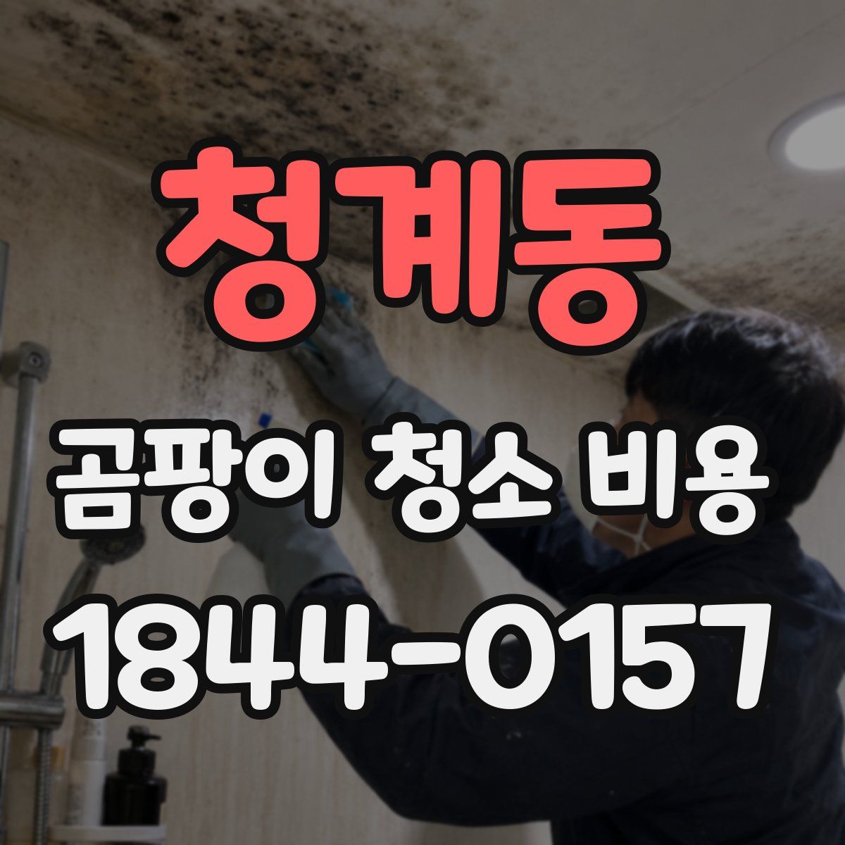 청계동 곰팡이 청소 비용