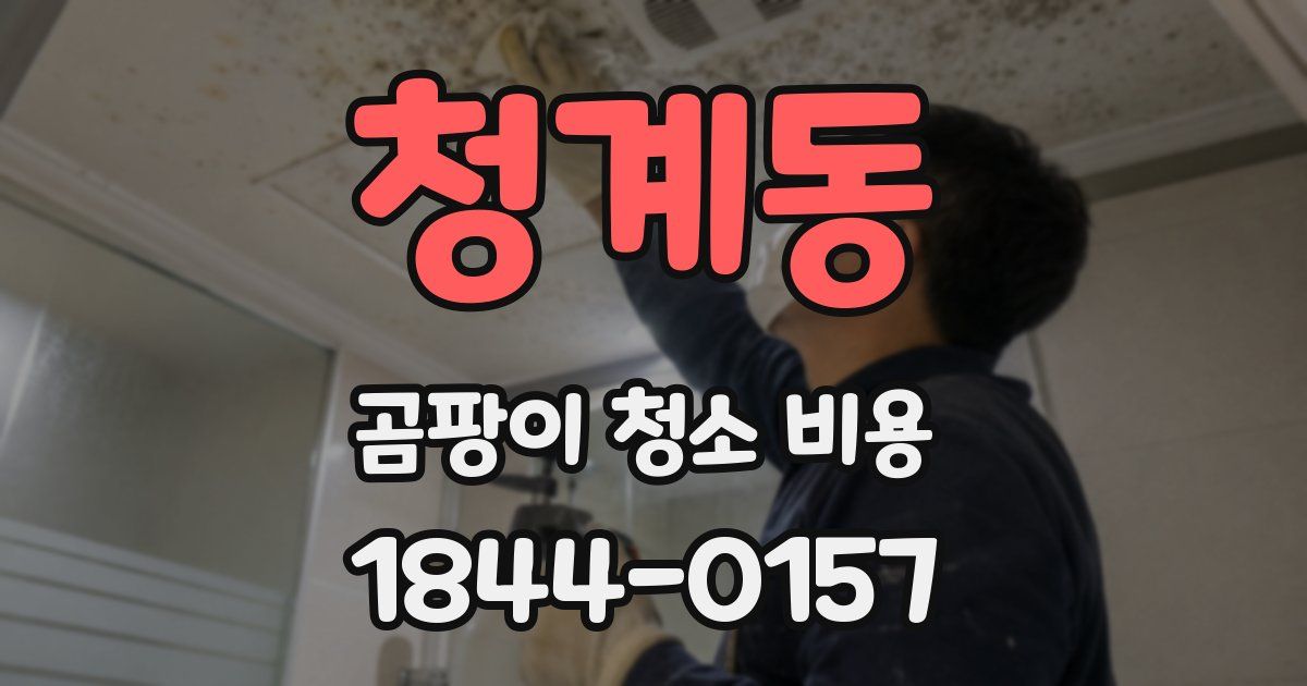 청계동 곰팡이 청소 비용